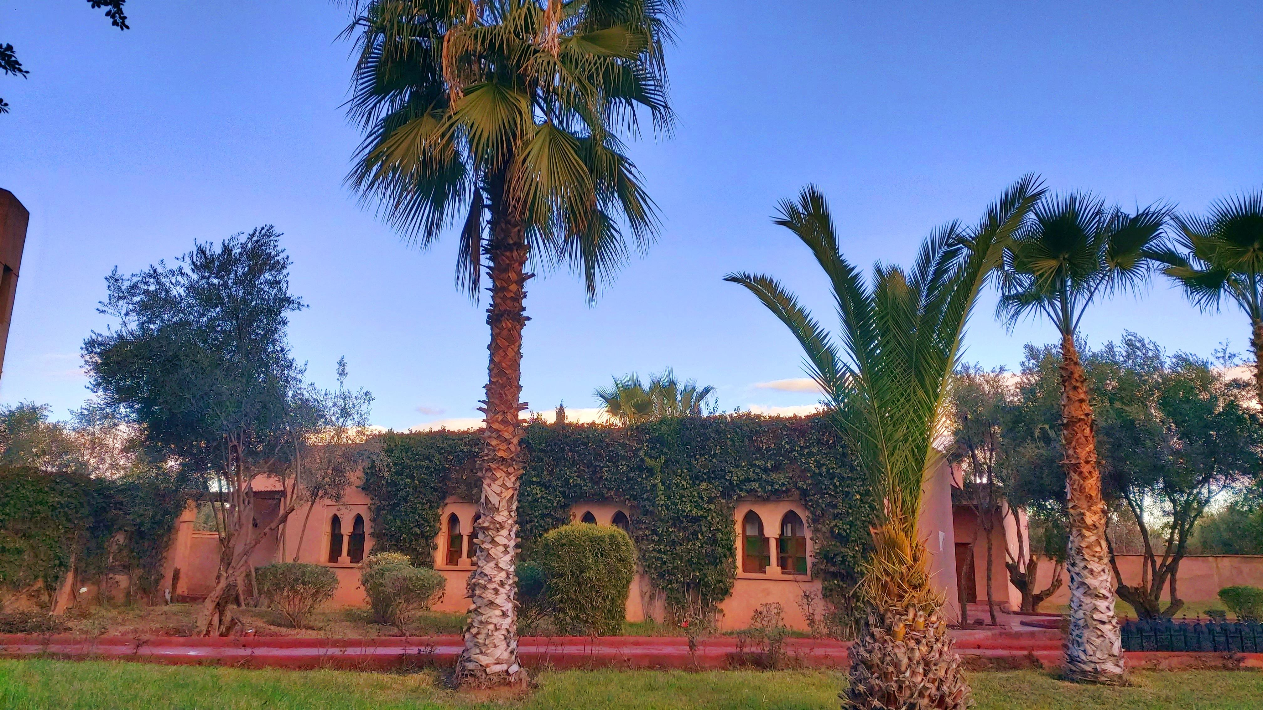 Lagouassem La Maison Des Oliviers מראה חיצוני תמונה