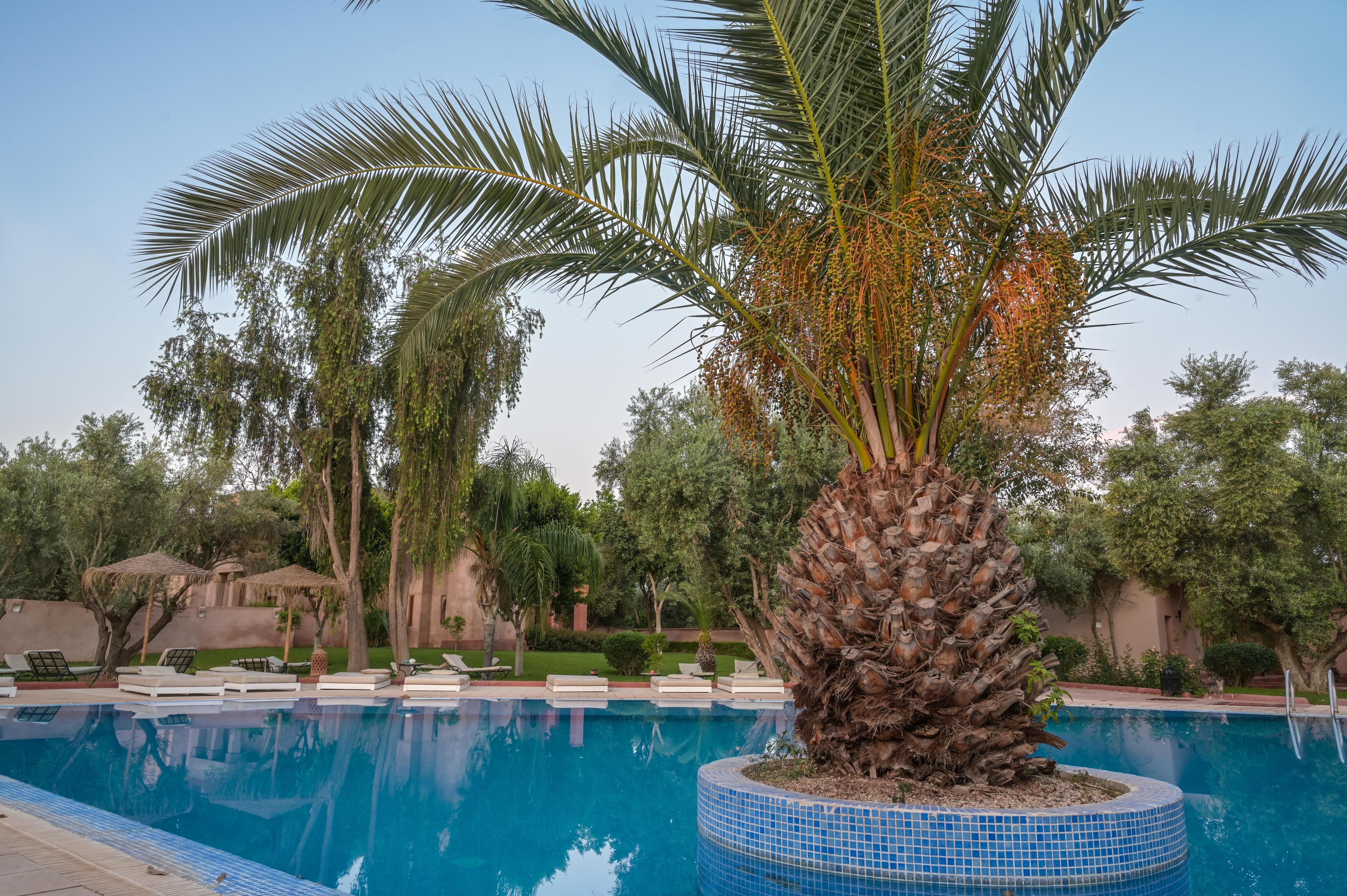Lagouassem La Maison Des Oliviers מראה חיצוני תמונה