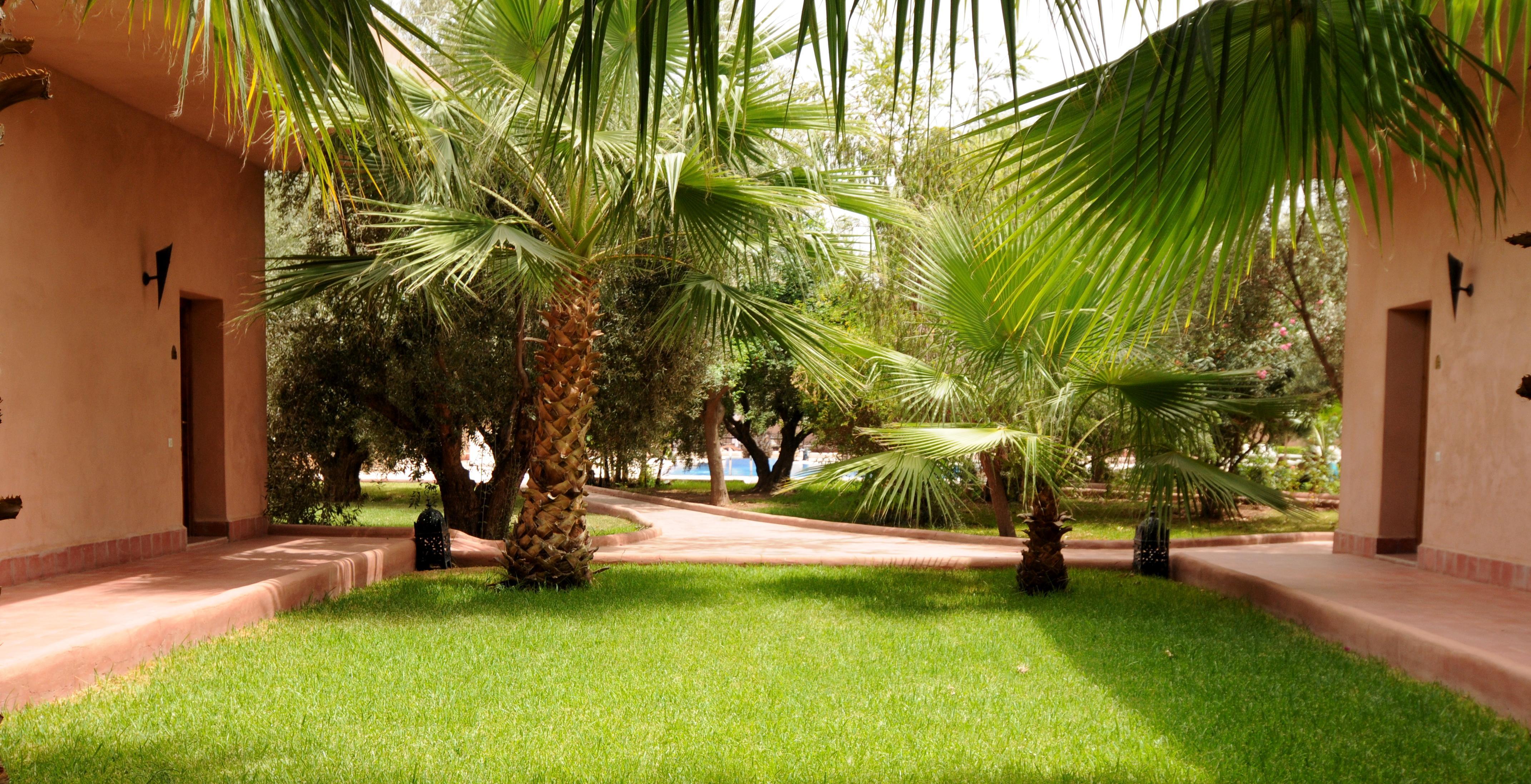 Lagouassem La Maison Des Oliviers מראה חיצוני תמונה