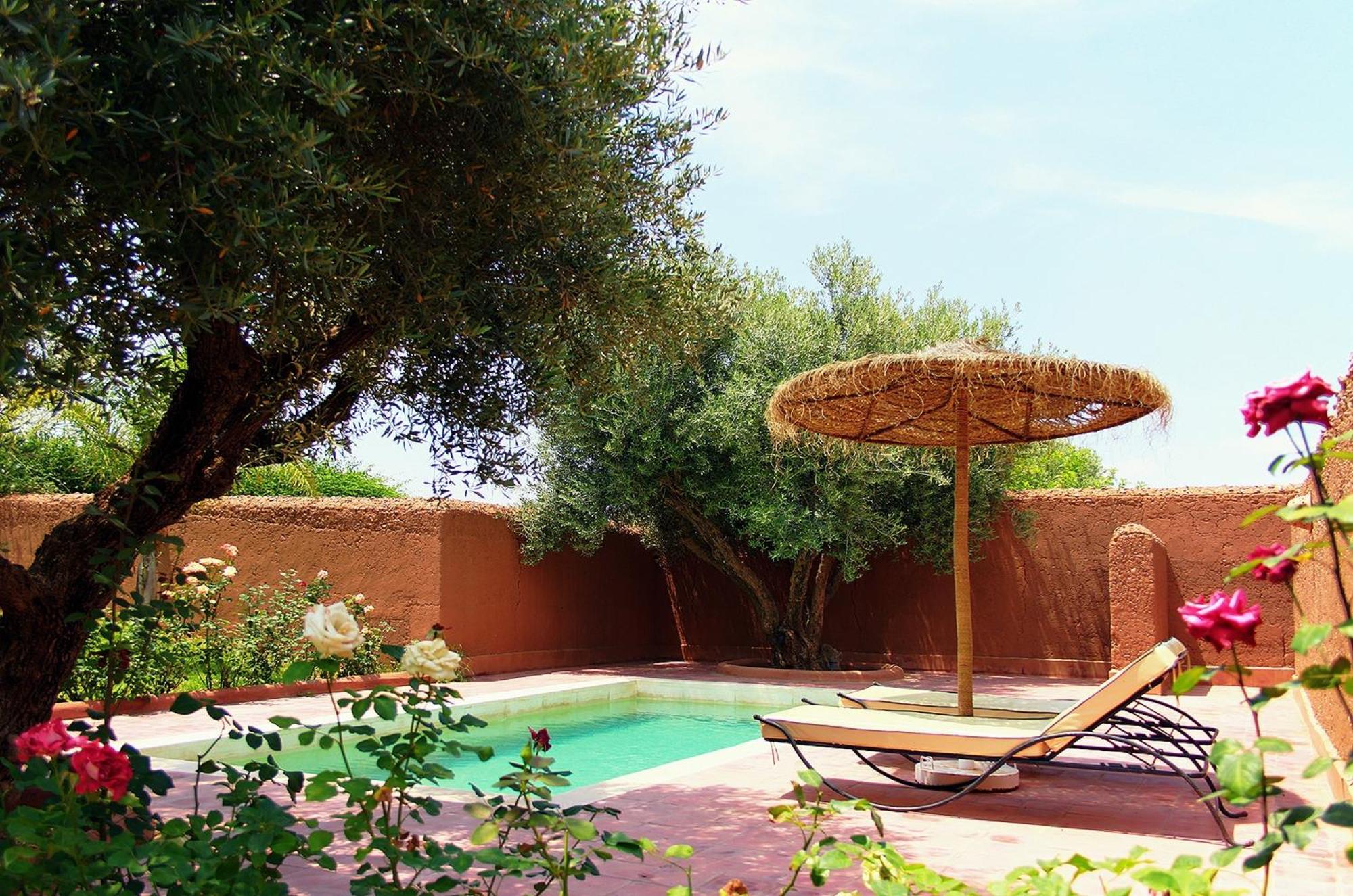 Lagouassem La Maison Des Oliviers חדר תמונה